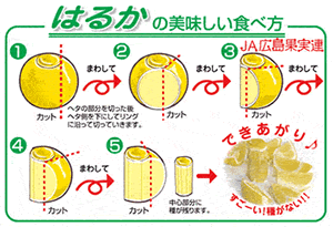 はるかの食べ方